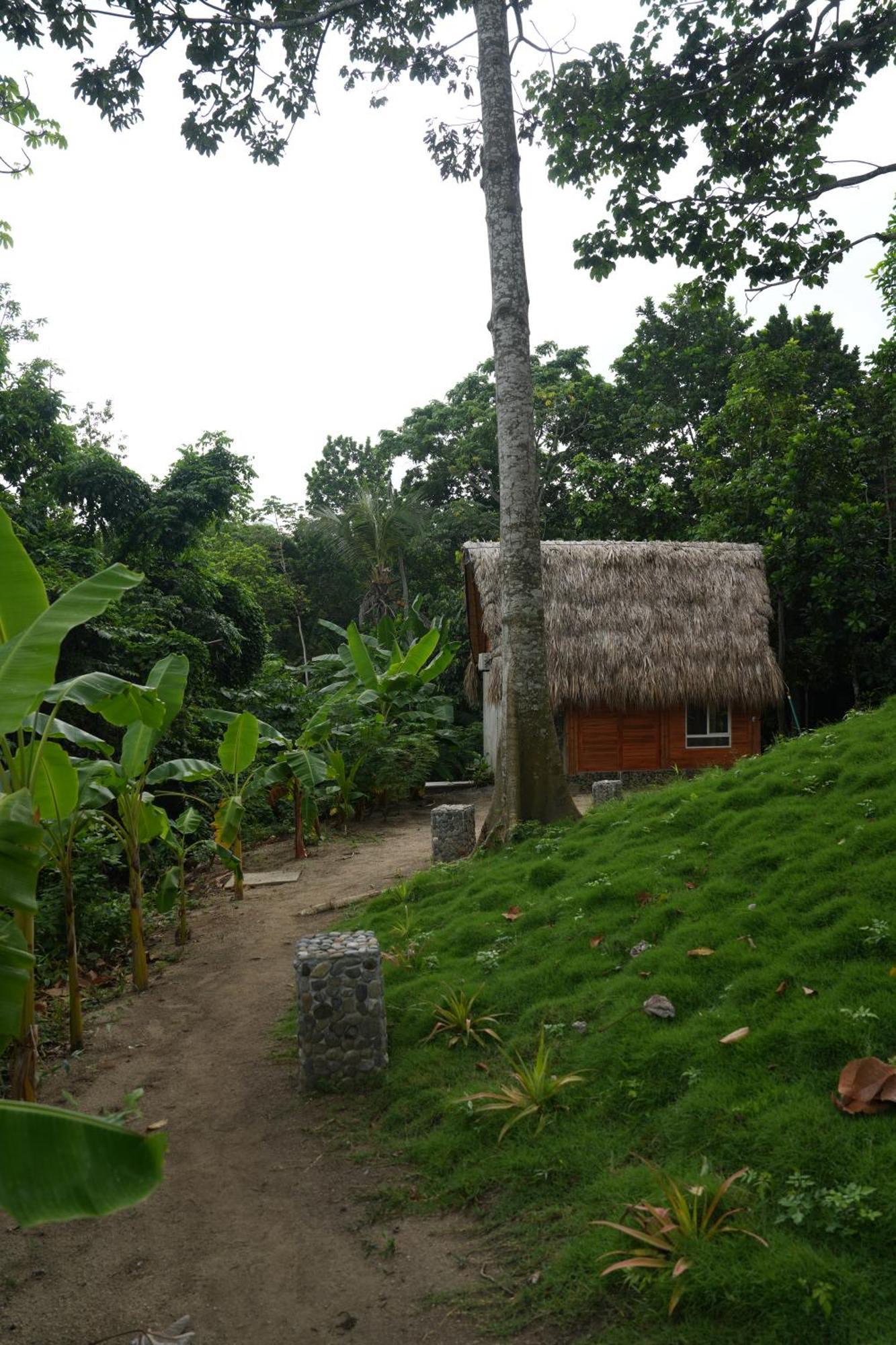 Tiny Unique Tayrona - Dentro Del Parque Tayrona *