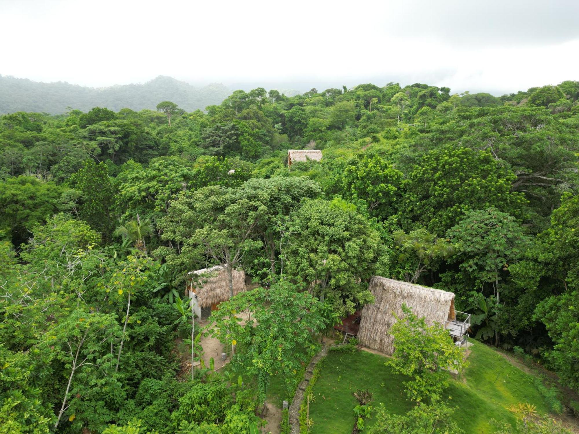Tiny Unique Tayrona - Dentro Del Parque Tayrona El Zaino
