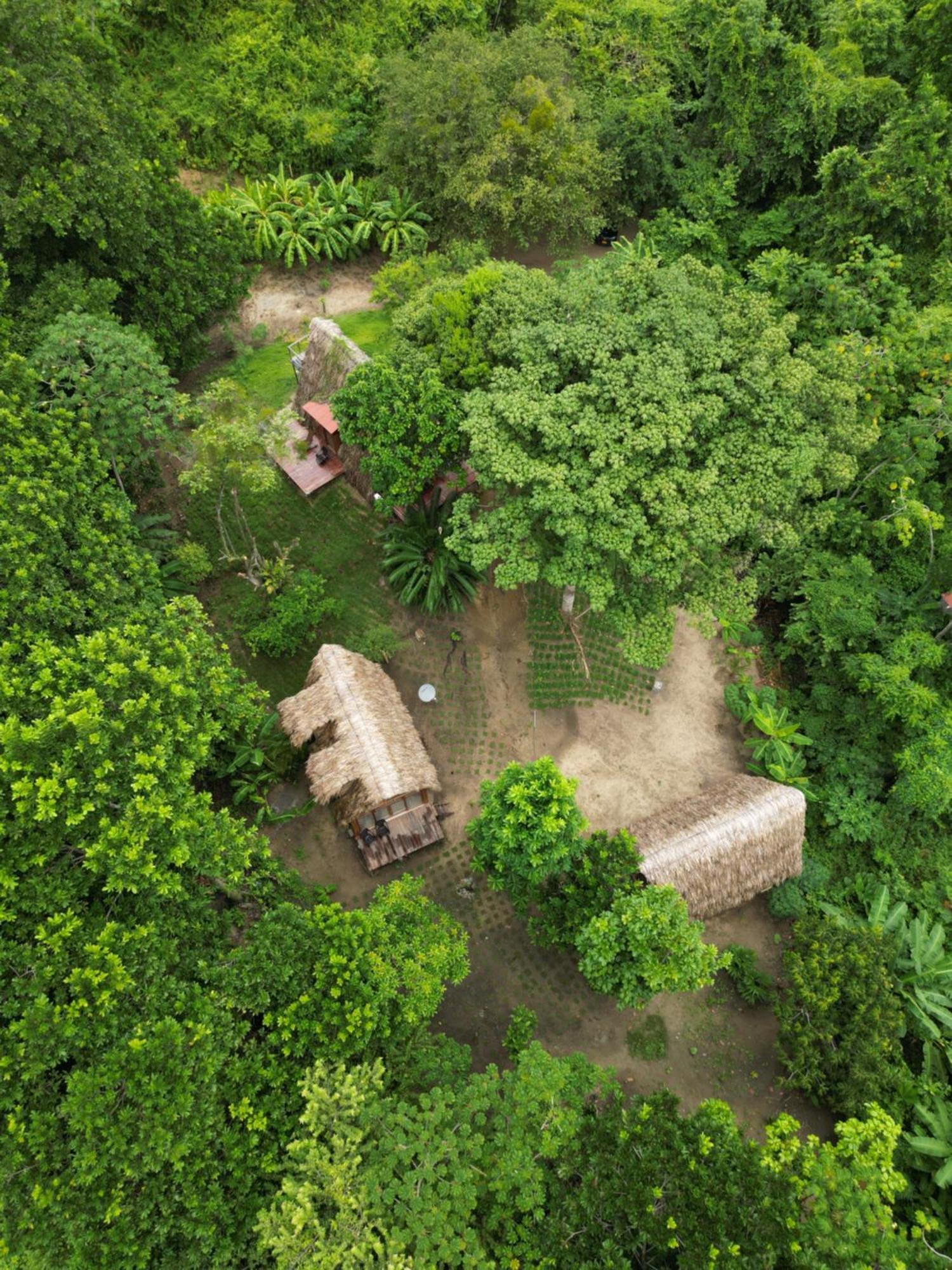 Tiny Unique Tayrona - Dentro Del Parque Tayrona Chalet *