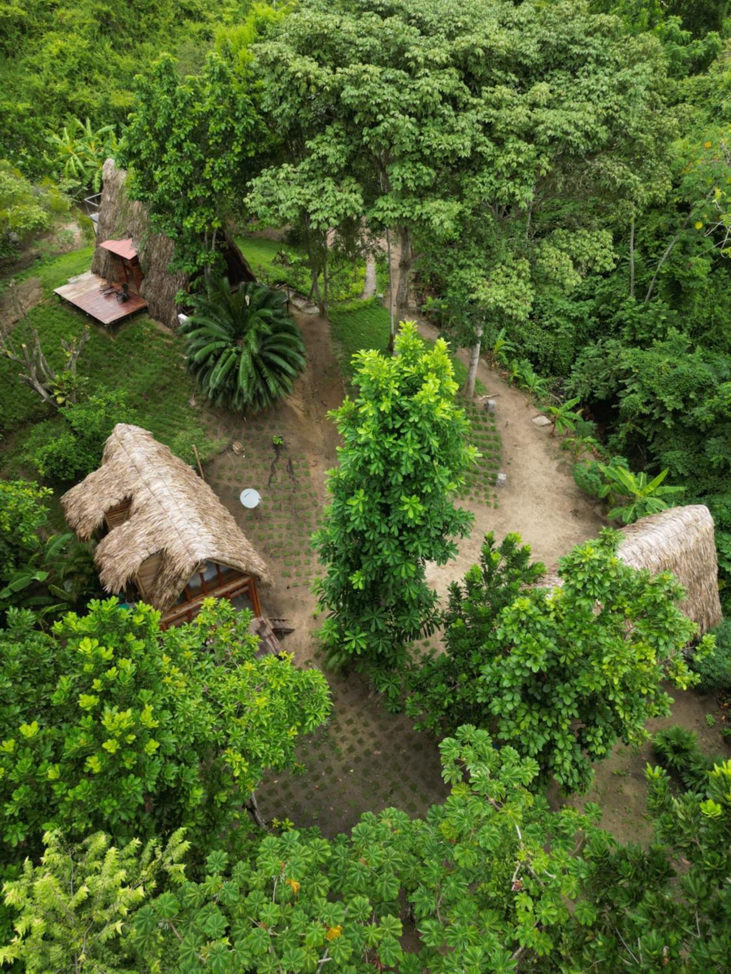 Tiny Unique Tayrona - Dentro Del Parque Tayrona Chalet