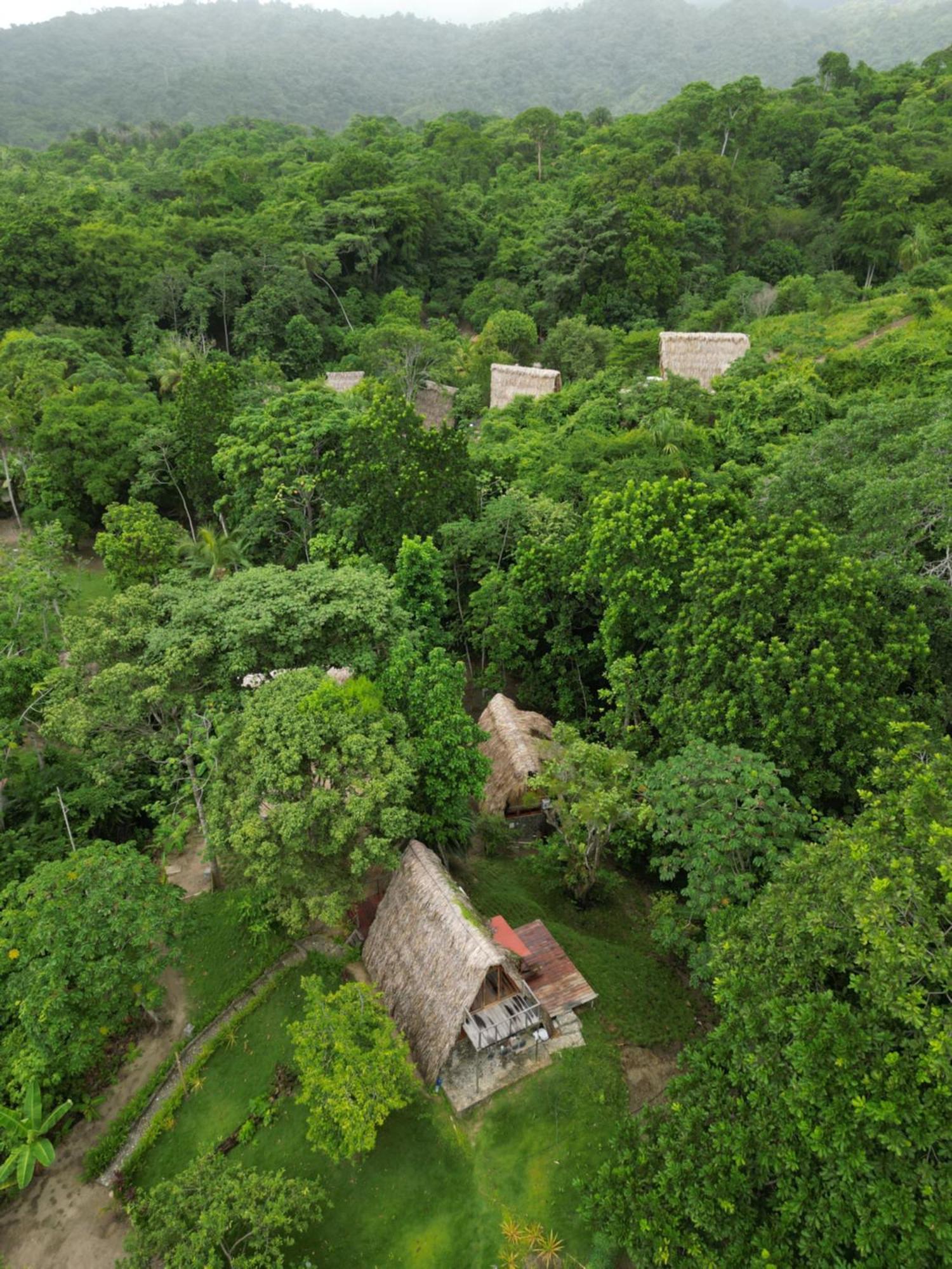 Tiny Unique Tayrona - Dentro Del Parque Tayrona El Zaino