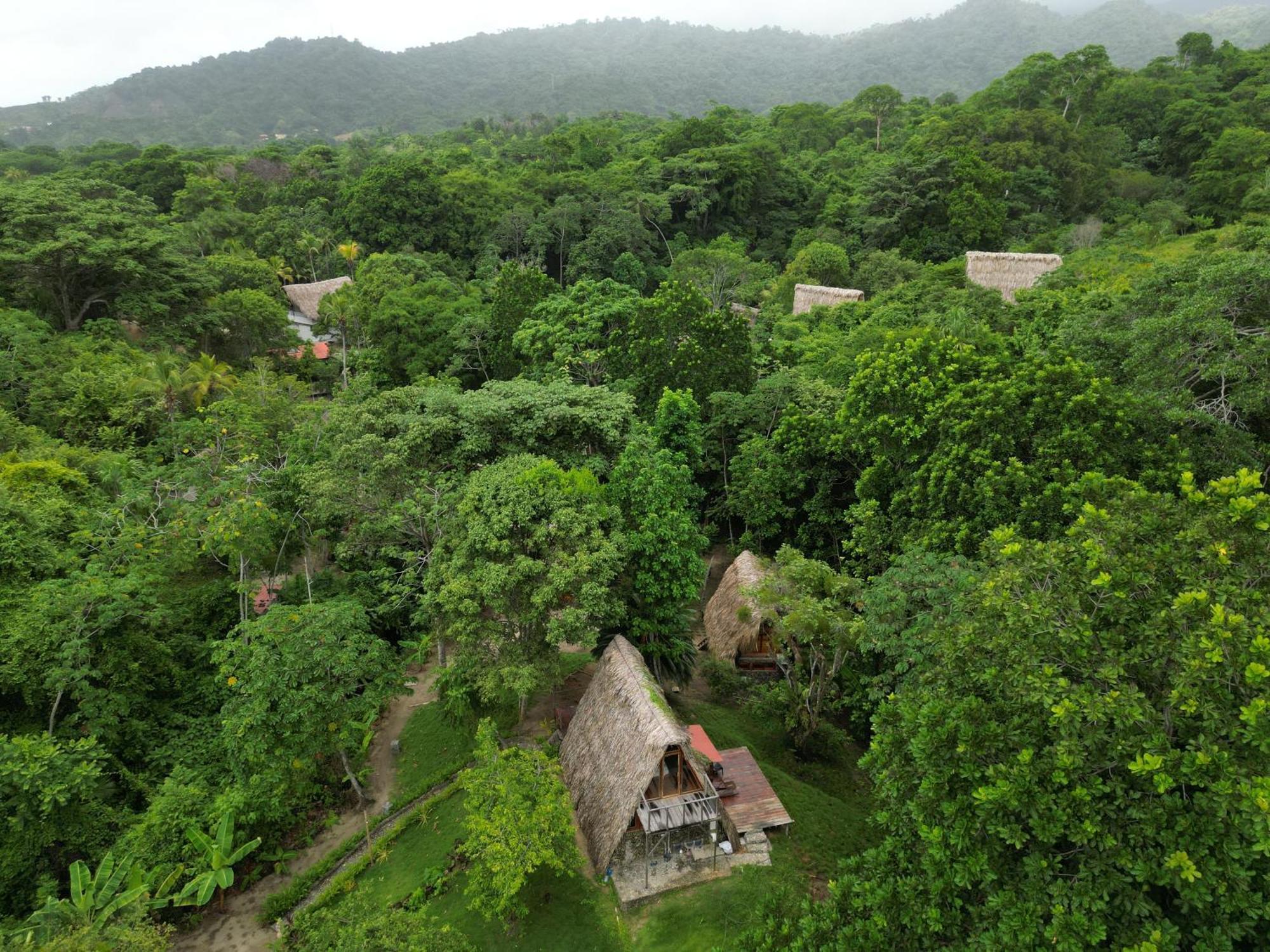 Chalet Tiny Unique Tayrona - Dentro Del Parque Tayrona El Zaino