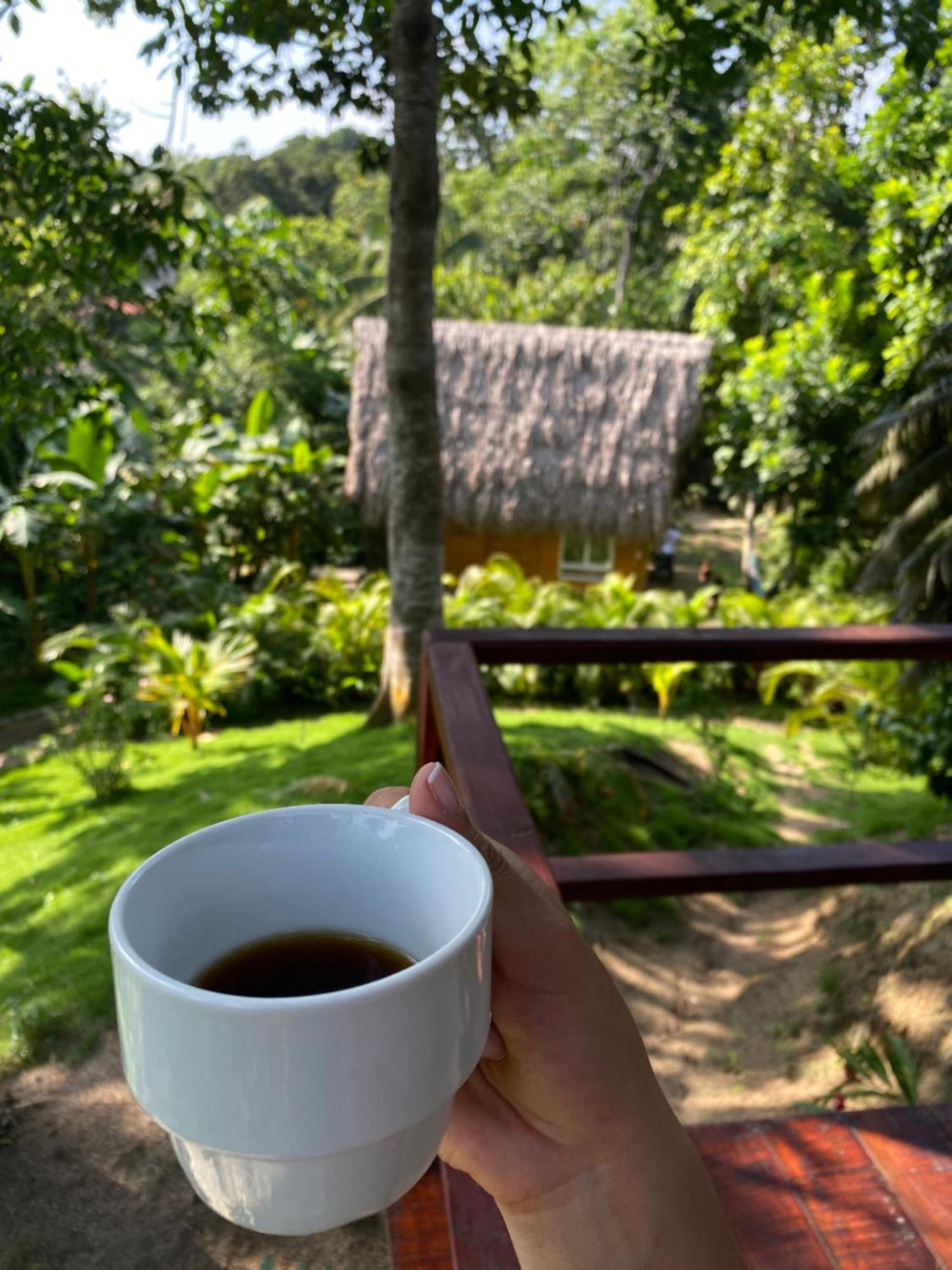 Chalet Tiny Unique Tayrona - Dentro Del Parque Tayrona El Zaino