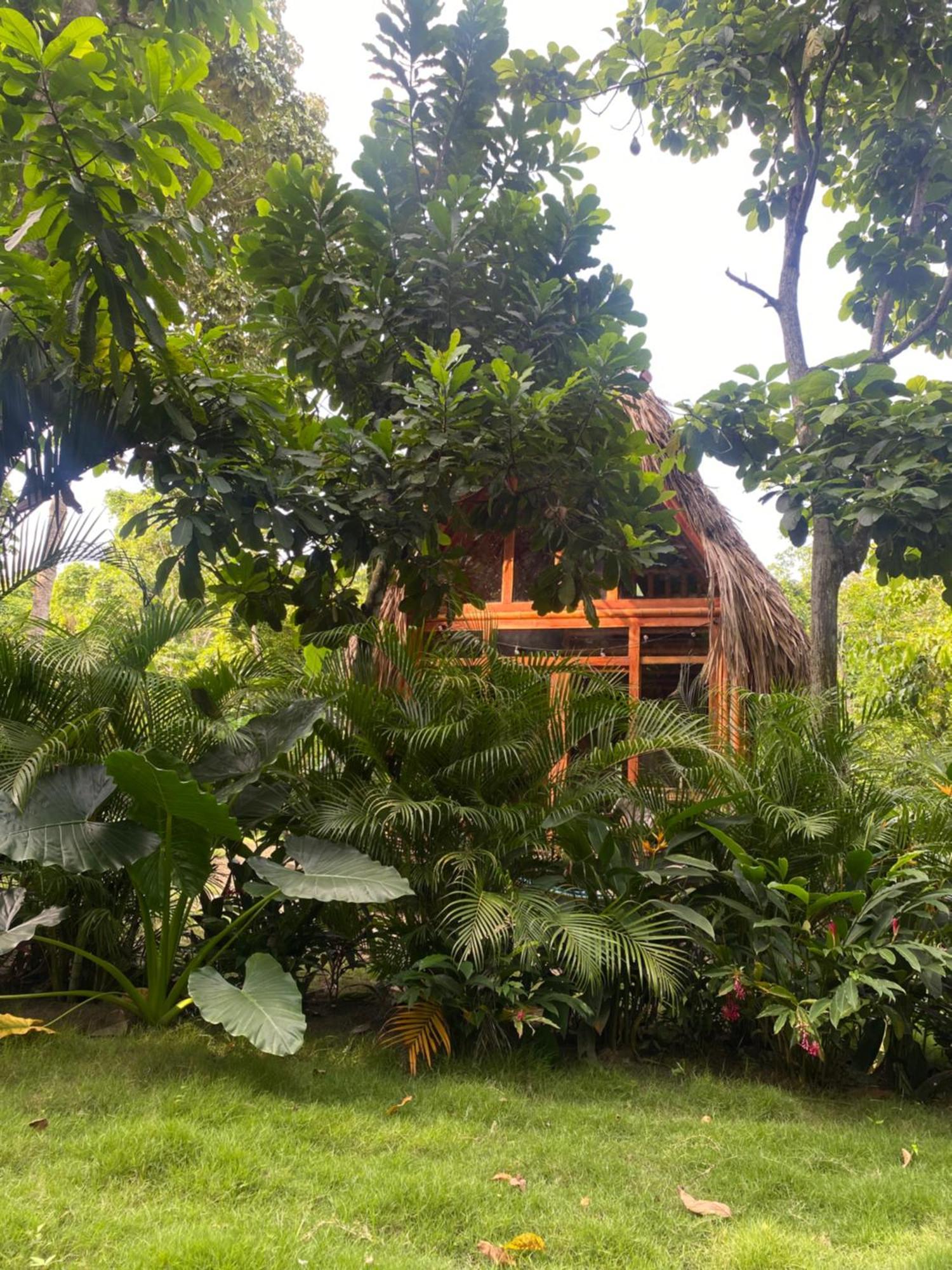 Tiny Unique Tayrona - Dentro Del Parque Tayrona Chalet *